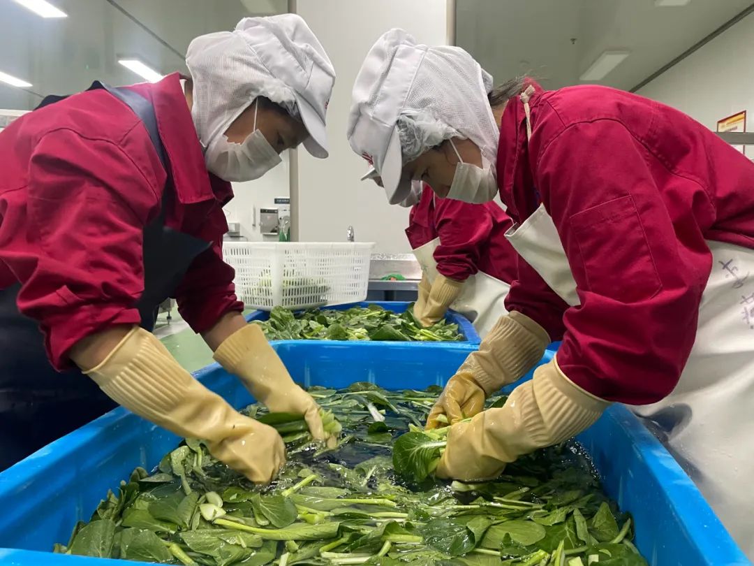 【食品安全】各校工作組及家長代表走進天天向上檢查食品安全工作(圖19)